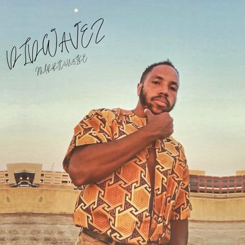 DidWavez x Hurric4n3Ike (Prod. x Hurric4n3Ike) 432 hz