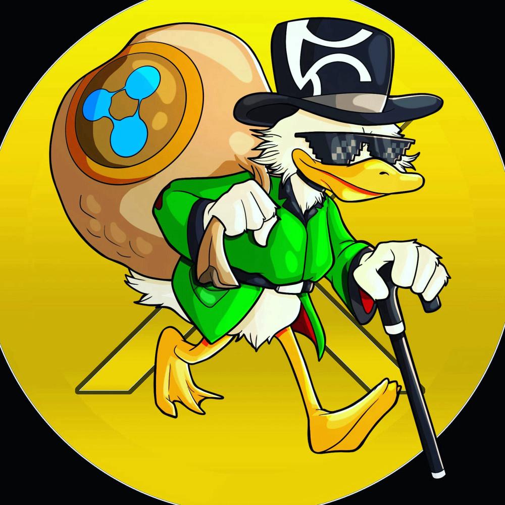 XRP Bags 💰 (@XRPBags)